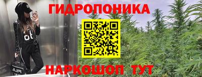 прущая мука Кулебаки