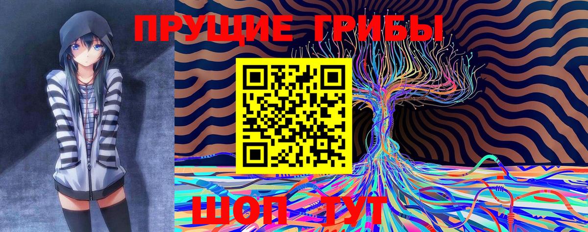 Галлюциногенные грибы GOLDEN TEACHER  как найти   Всеволожск  Вход с VPN 